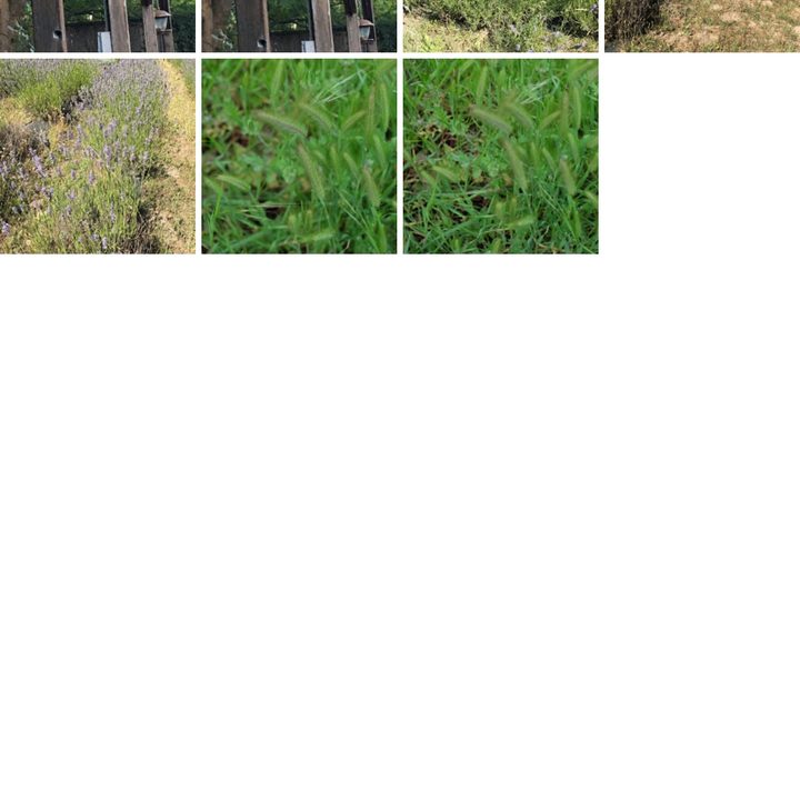 how to delete and recover photos in android gphotos7