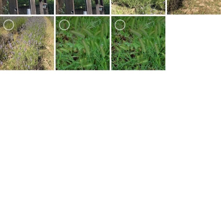 how to delete and recover photos in android gphotos8