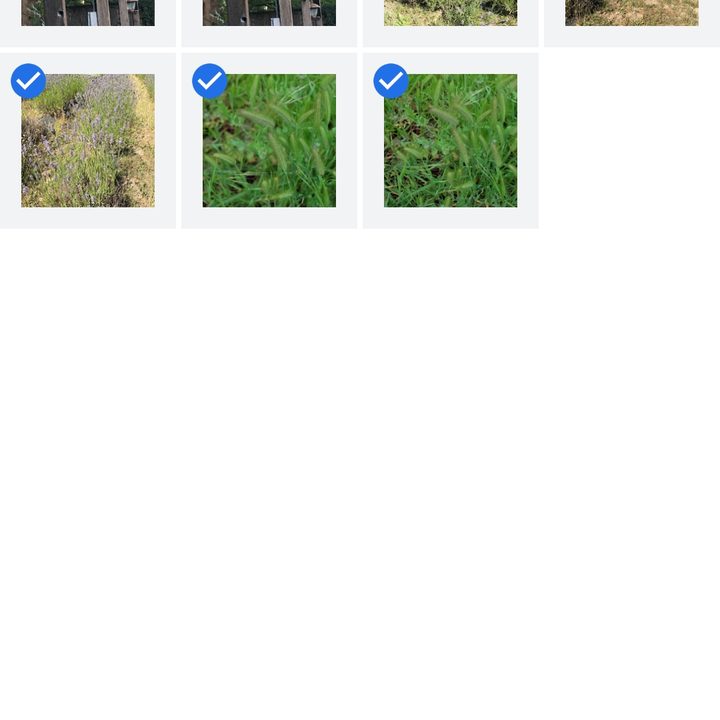 how to delete and recover photos in android gphotos9