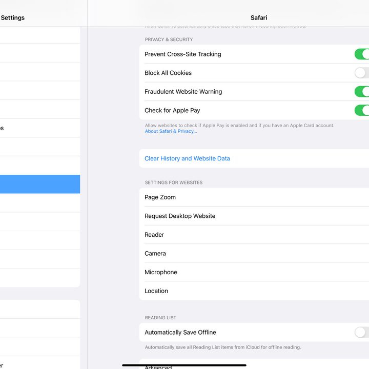 A screenshot of Safari's settings on iPad.