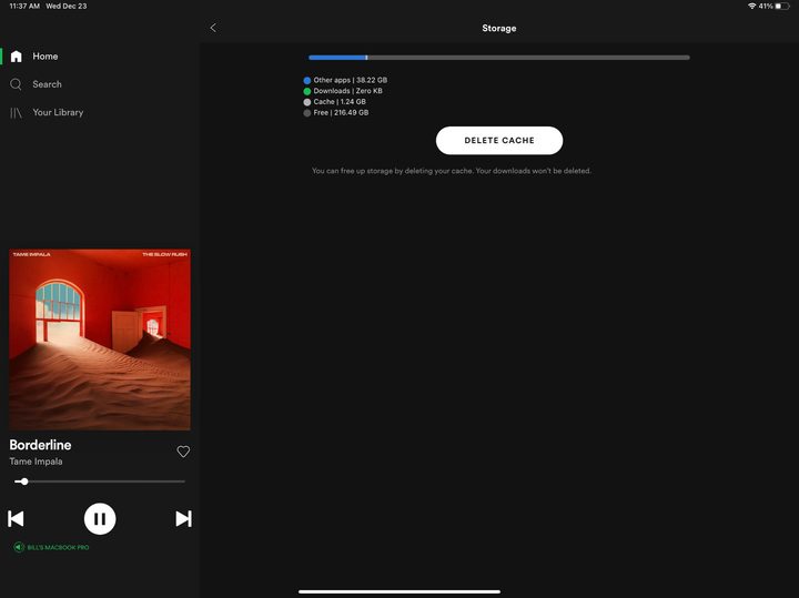A screenshot of Spotify's storage settings on iPad.