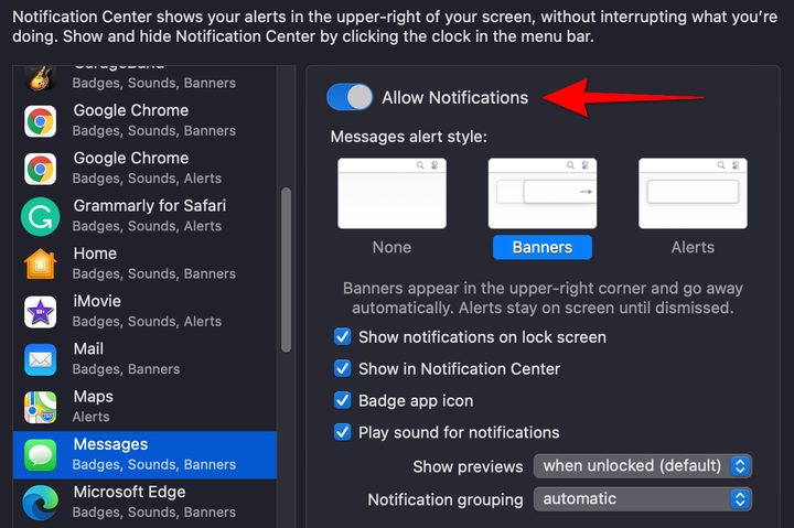 MacOS Messages Disable Notifications