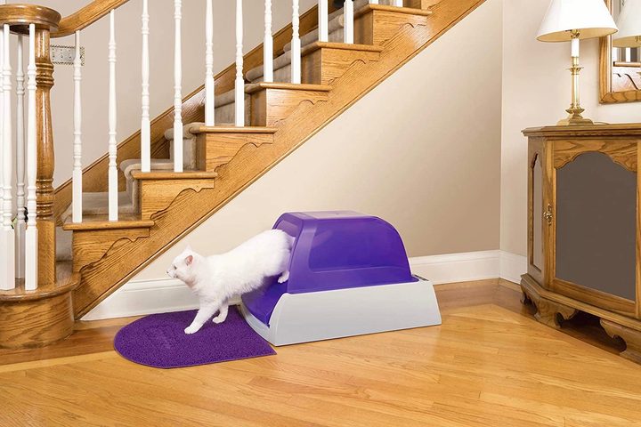 Pet Safe automatic litter box