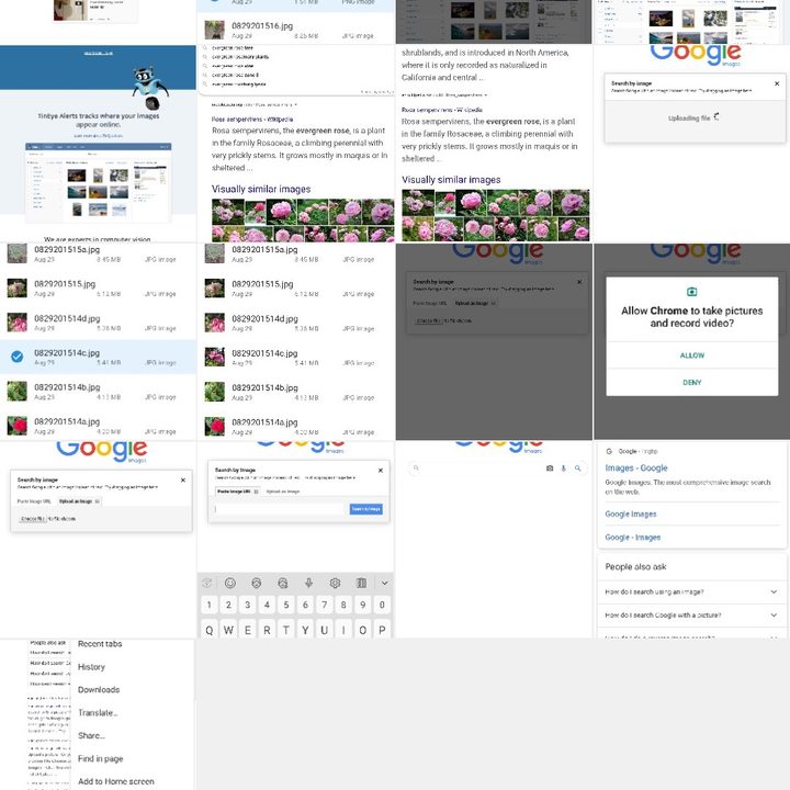 how to delete and recover photos in android picture2
