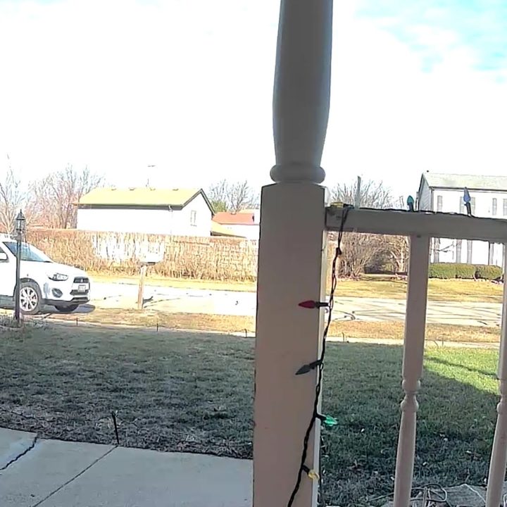 Wyze Doorbell camera daytime