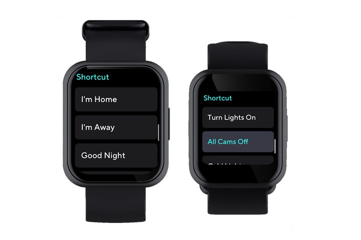 Wyze Watch special features