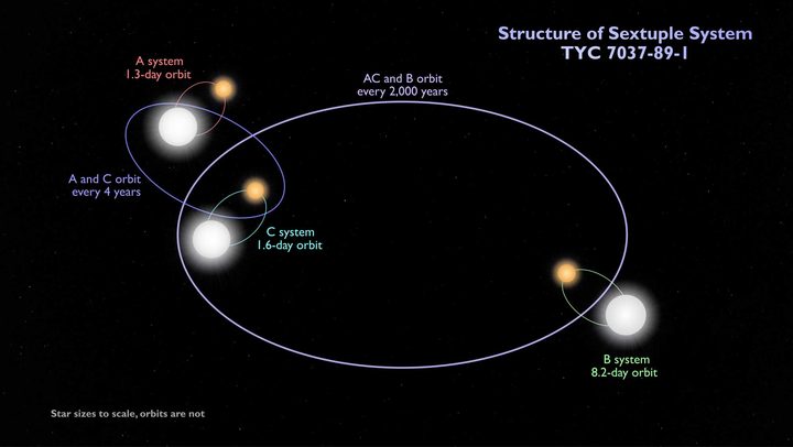 This schematic shows the configuration of the sextuple star system TYC 7037-89-1. The inner quadruple is composed of two binaries, A and C, which orbit each other every four years or so. An outer binary, B, orbits the quadruple roughly every 2,000 years. All three pairs are eclipsing binaries. The orbits shown are not to scale.
