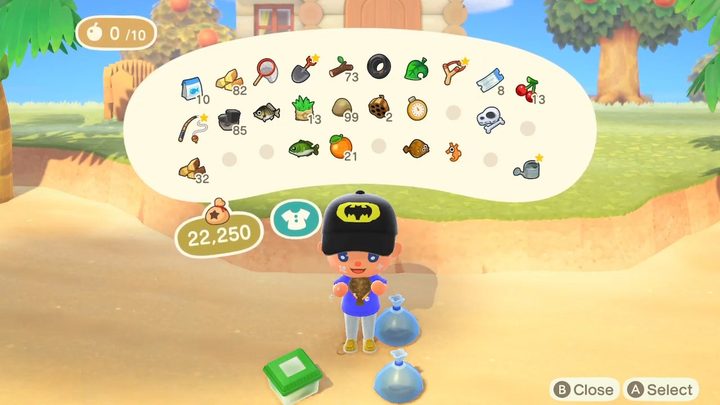 Animal Crossing New Horizon more inventory