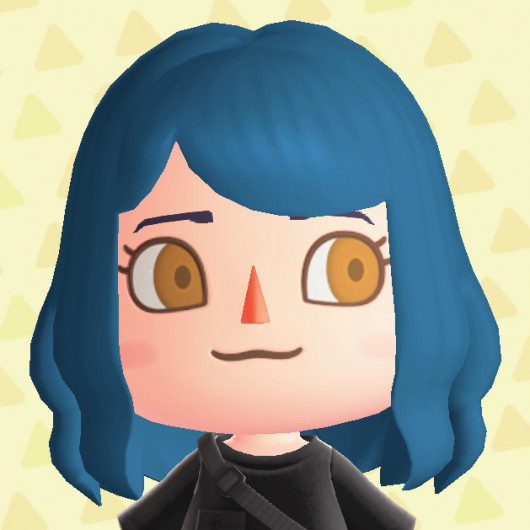 Animal Crossing New Horizons Hair and Eye