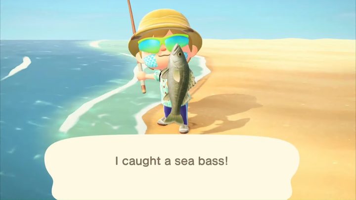 Animal Crossing New Horizons Sea Bass