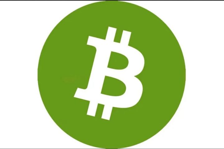 Image of Bitcoin Cash Symbol