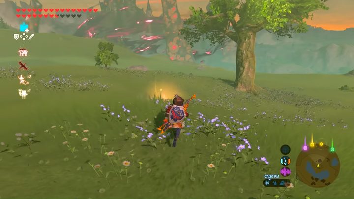 BOTW Memories Irch Plain