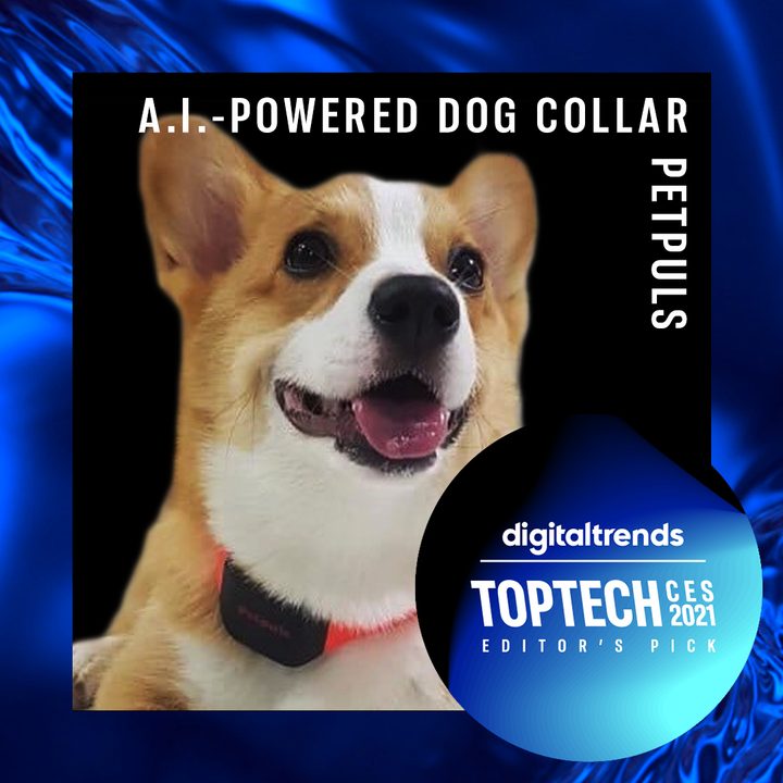ces 2021 top tech petpuls collar