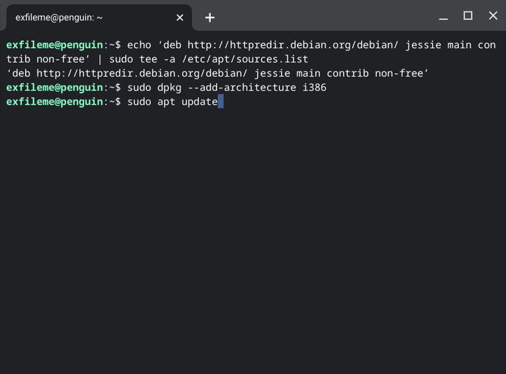 Chromebook Linux Install Steam