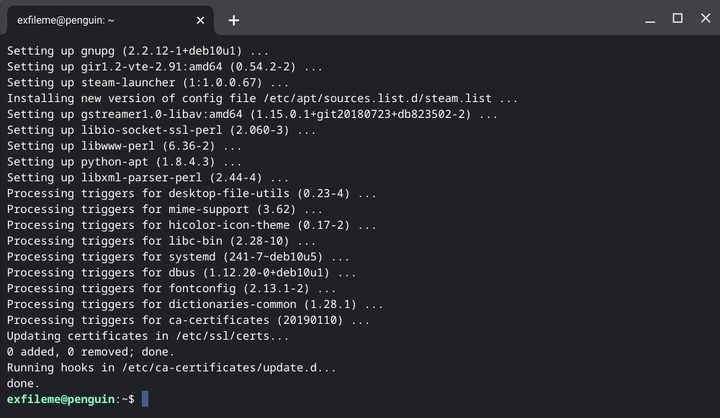 Chromebook Update Linux Packages