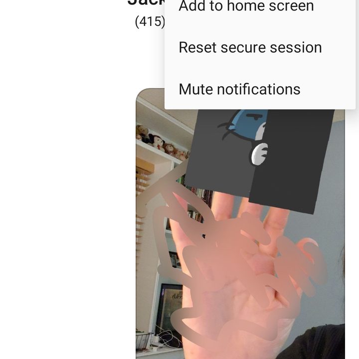 Signal disappearing messages