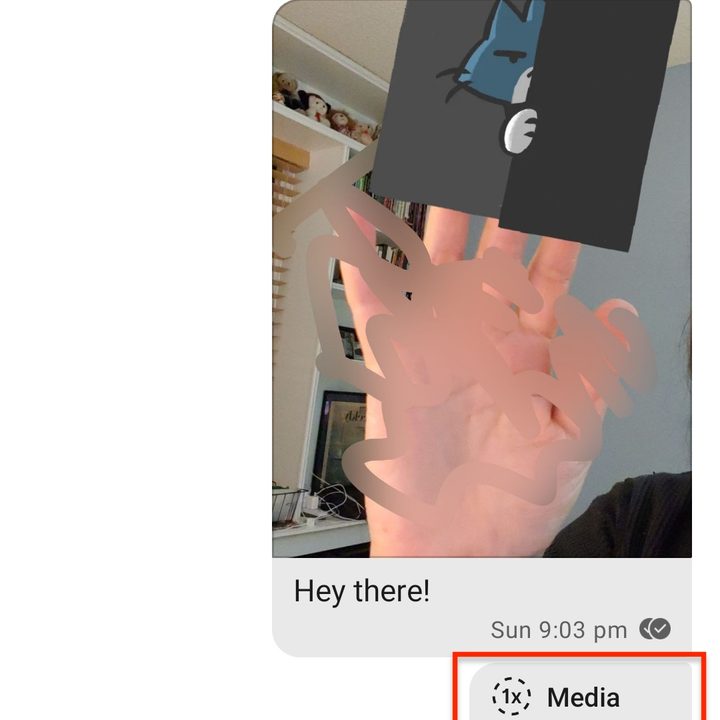 signal messenger tips and tricks diss3