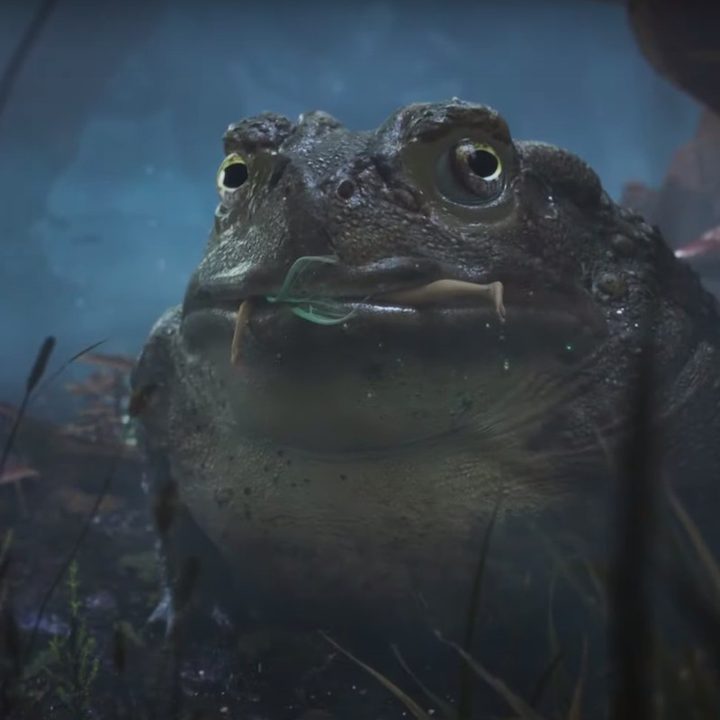 A toad from Fable 4 eats a fairy.