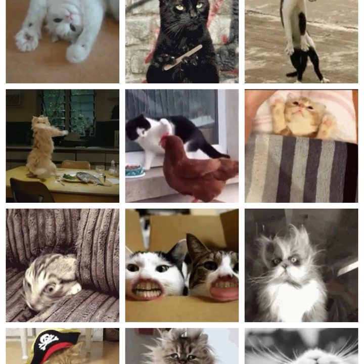 how to make a gif on your iphone giff4