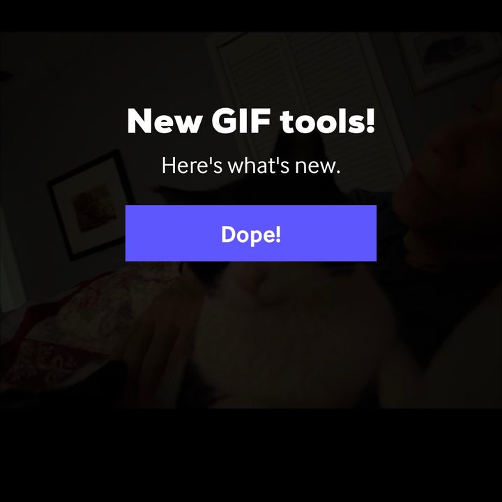 how to make a gif on your iphone gippy5