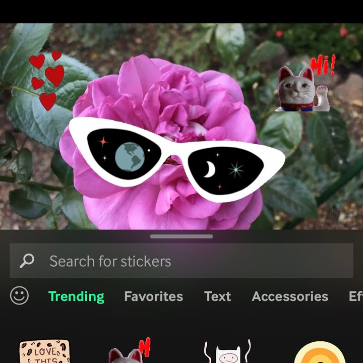 how to make a gif on your iphone gippy7
