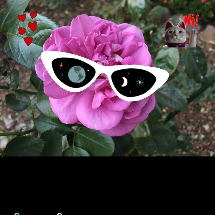 Giphy