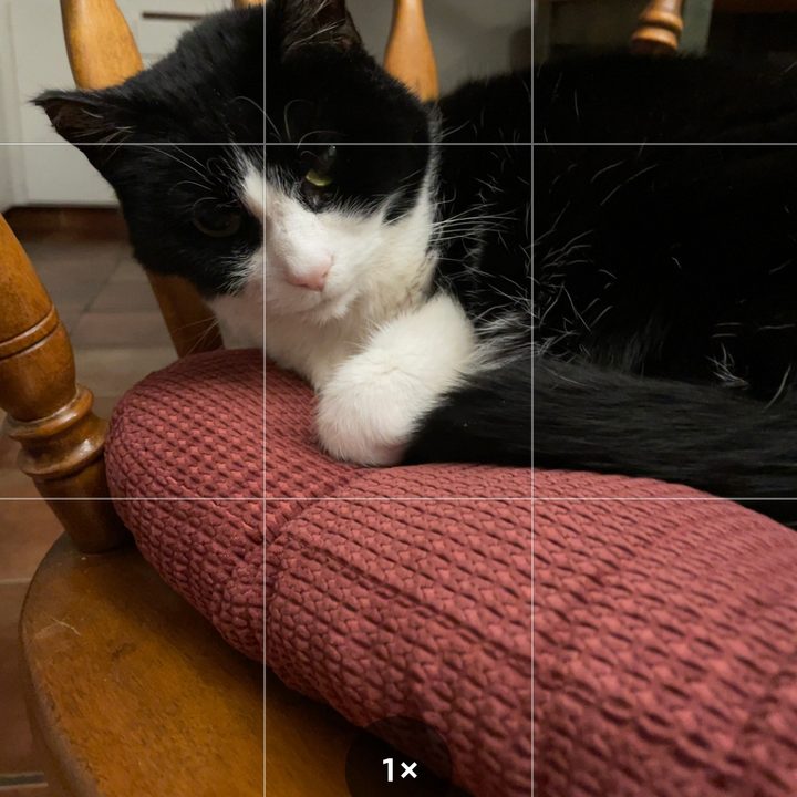 how to make a gif on your iphone livve1