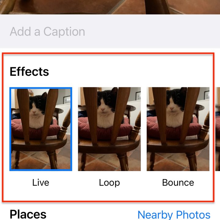 how to make a gif on your iphone livve3