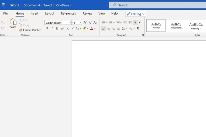 MS Office Online screenshot of Word document