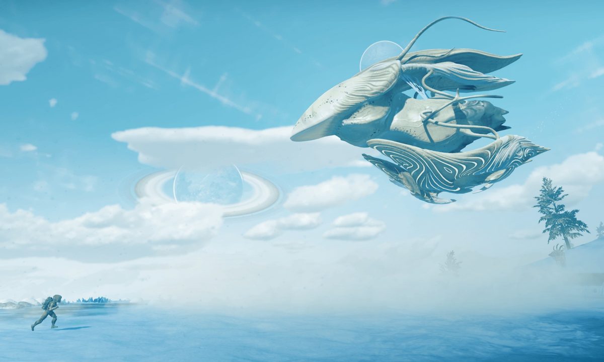 No Man's Sky Living Ship