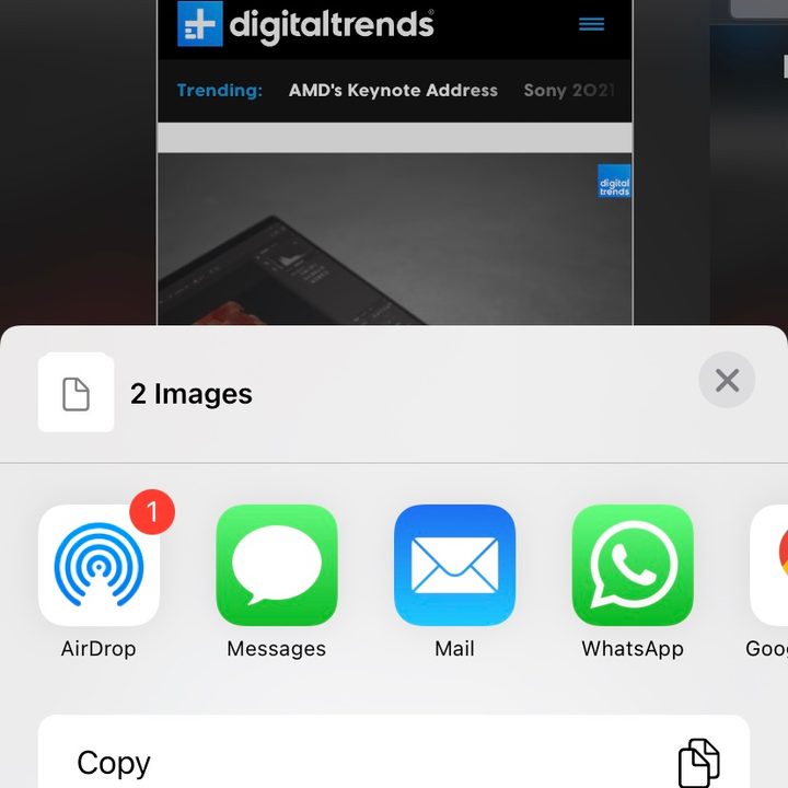 Screenshot sharing options