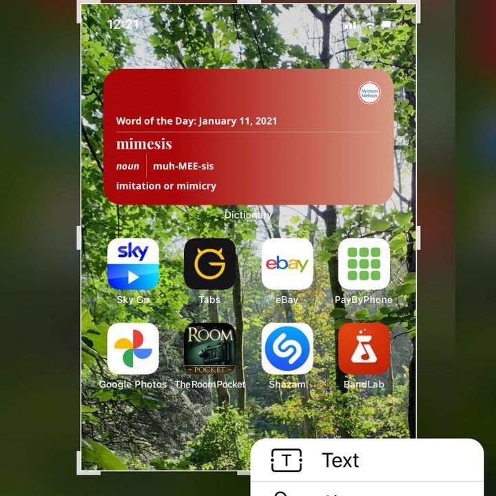 Text edit options