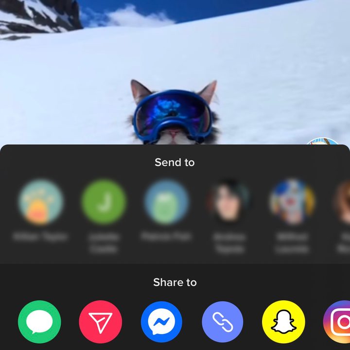 TikTok How to Download Videos