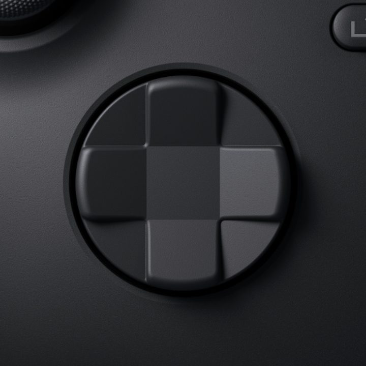 the D-pad and Share button on an Xbox Series X controller.