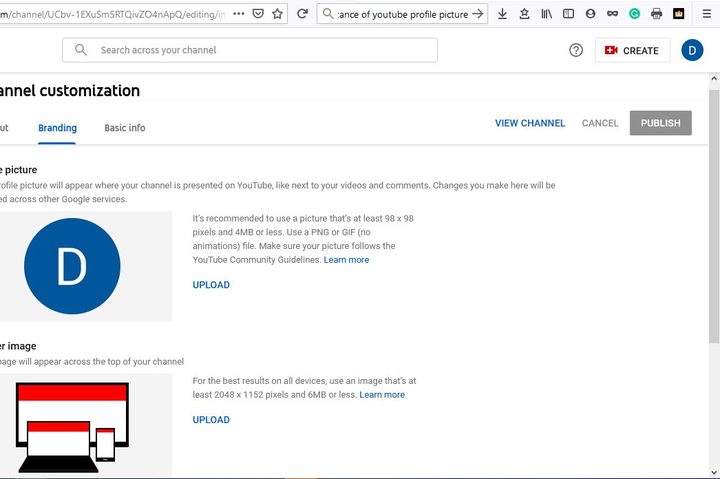 Image of YouTube Profile Picture Publish Image Button