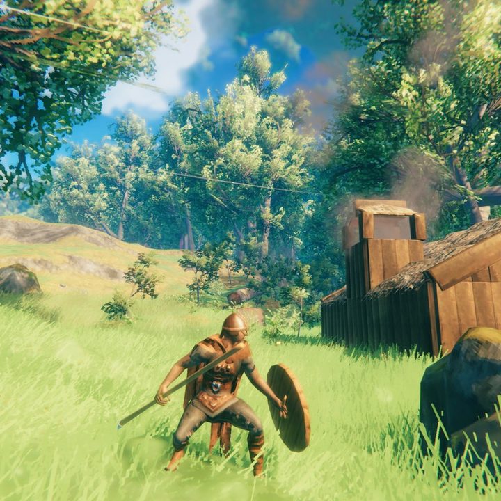 Valheim player standing in a field.
