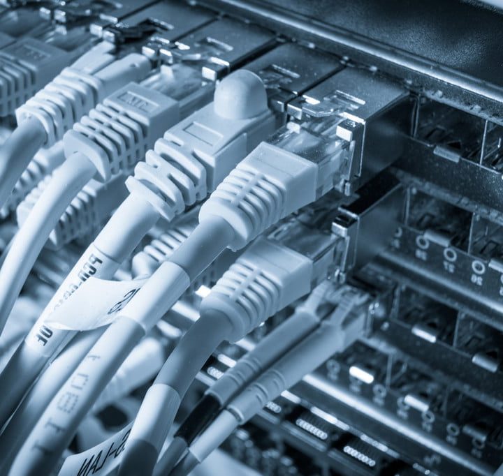 Network cables plugged into a hub.
