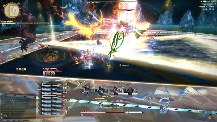 FFXIV battle gameplay