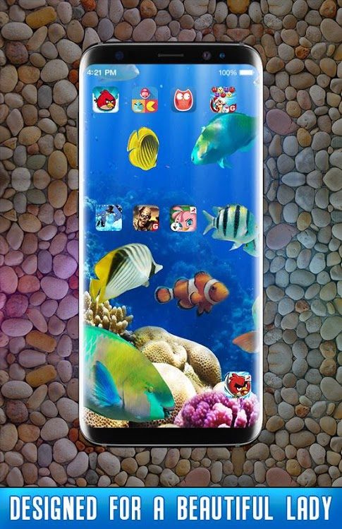 Fish Live Wallpaper with fish variety.