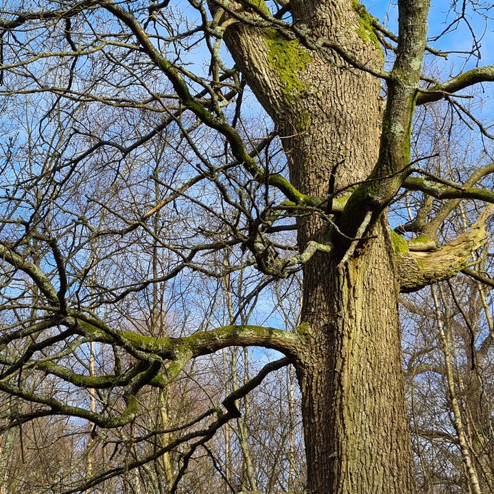galaxy s21 plus is worth the upgrade from s20 3x zoom