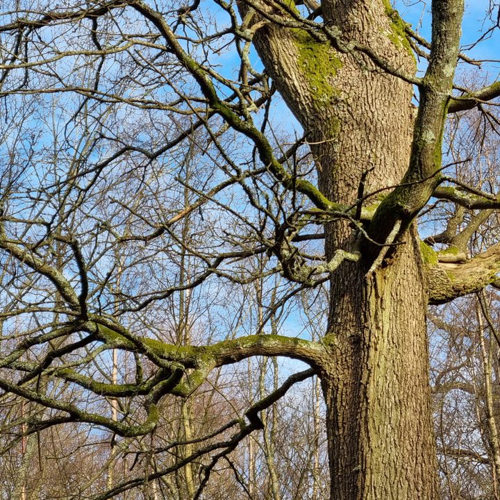 galaxy s21 plus is worth the upgrade from s20 3x zoom