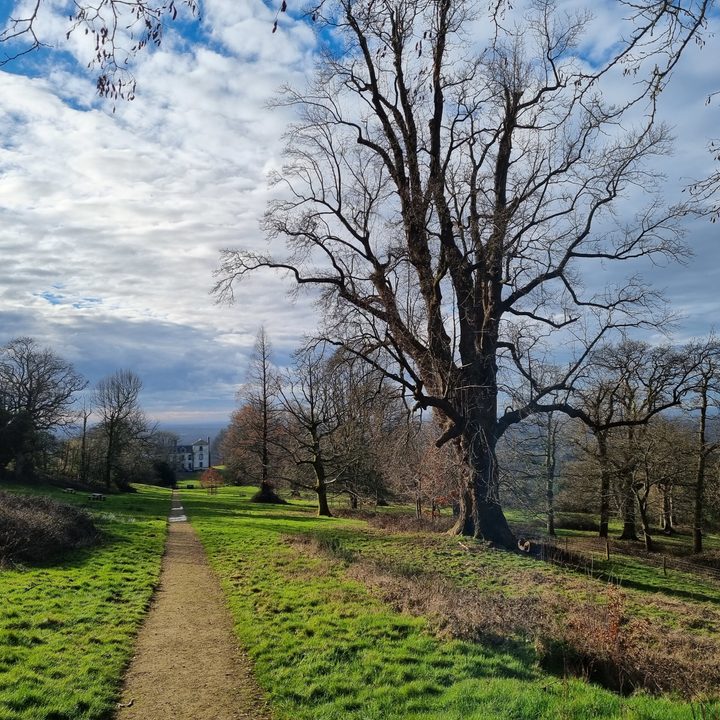 galaxy s21 plus is worth the upgrade from s20 tree path