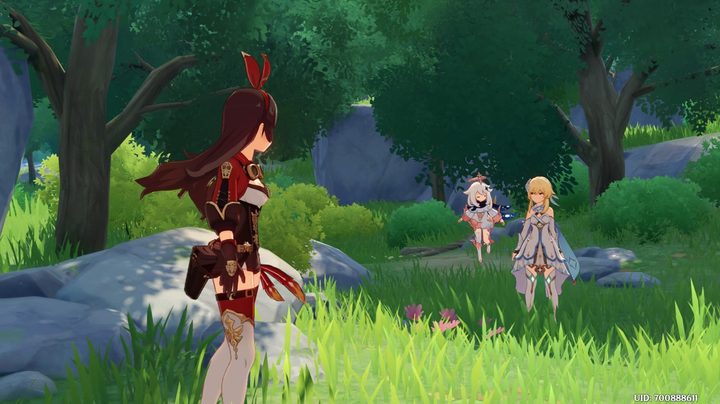 Genshin Impact players standing in a forest.