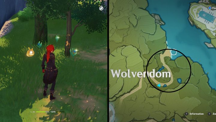 Genshin Impact blue items locations