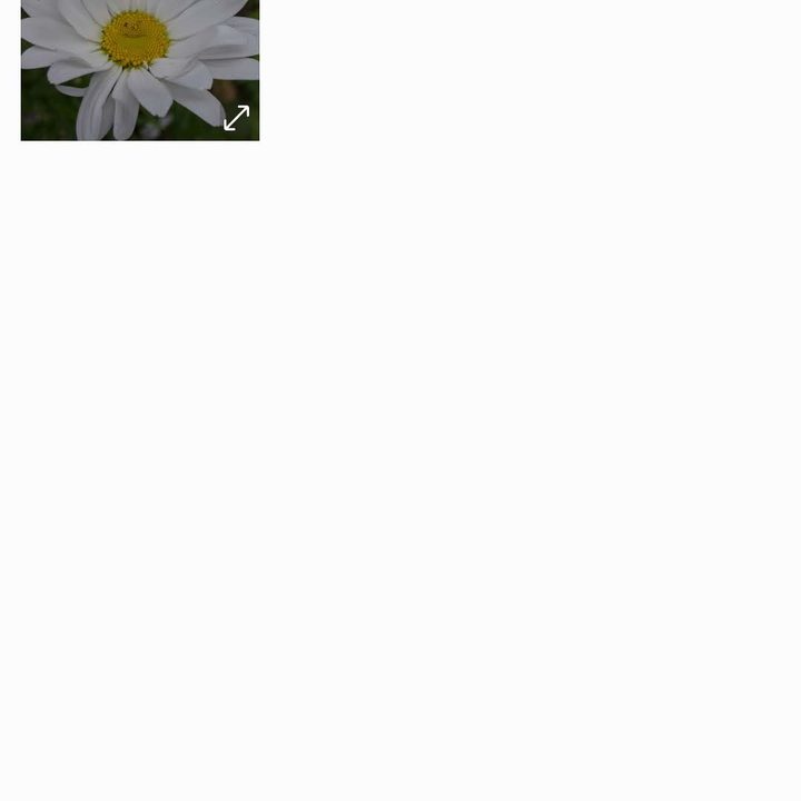 how to change wallpaper on android smartphone samsung 4