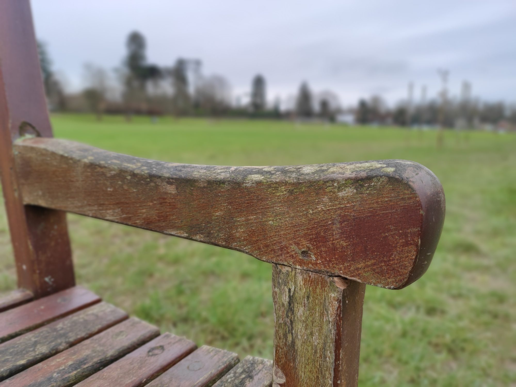 xiaomi mi 11 review portrait bench