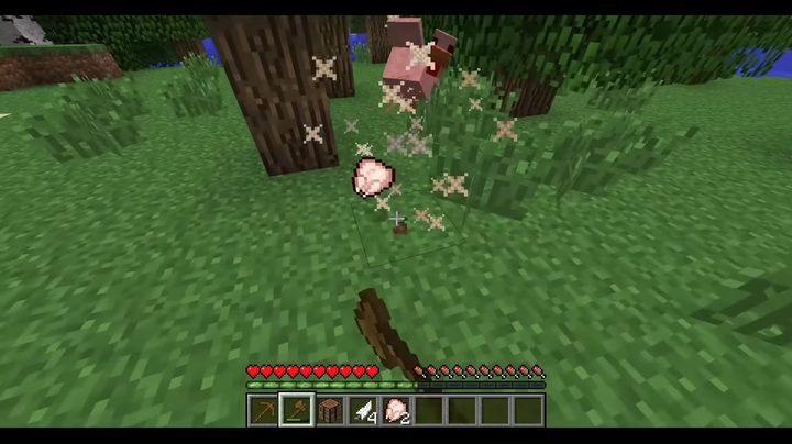 Minecraft