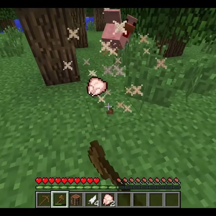 Killing a chicken with a wooden axe.