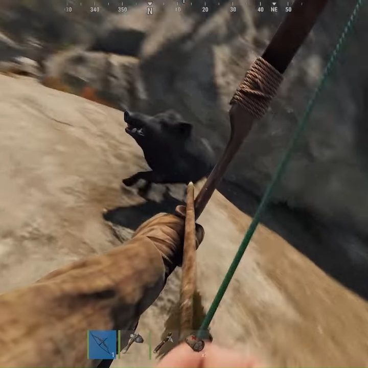 Shooting a boar with a bow and arrow.