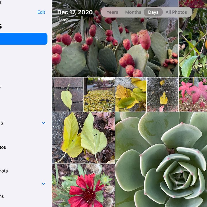 App Sidebars